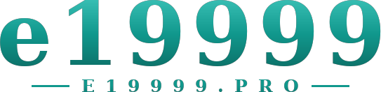 e19999 โลโก้